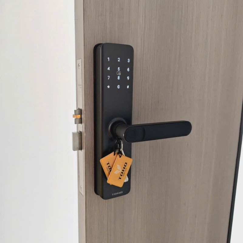 Khóa vân tay cửa gỗ TOHO TH633