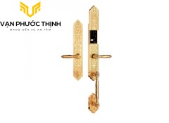 Khóa vân tay đại sảnh Demax SL886 GOLD - APP WIFI